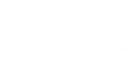 Callaway_Golf_Company_logo